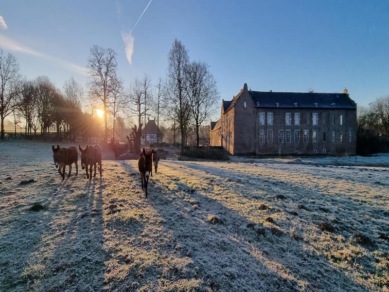 Kasteelhotel Terborgh, BW Signature Collection image