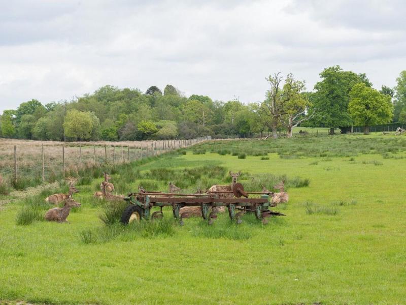 Burley Manor image