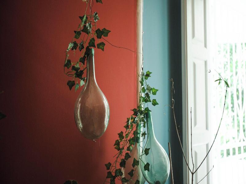 4brooms-paladini B&b image