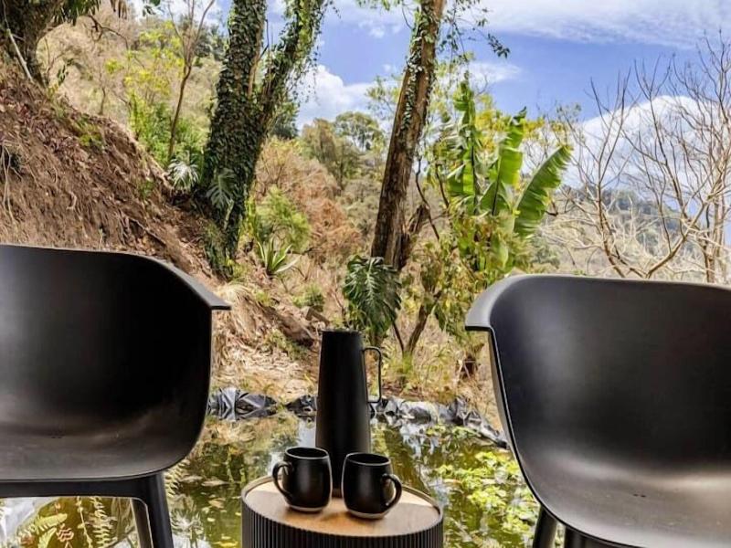 Finca El Tambor