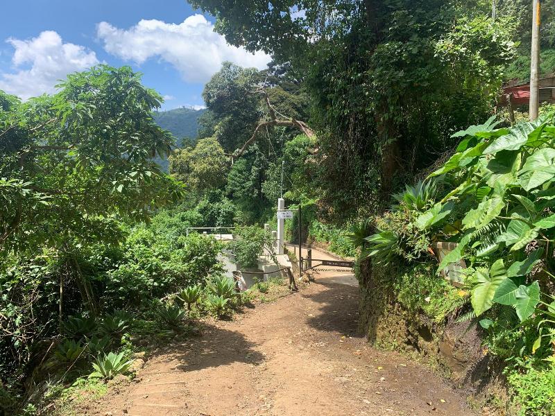 Finca El Tambor