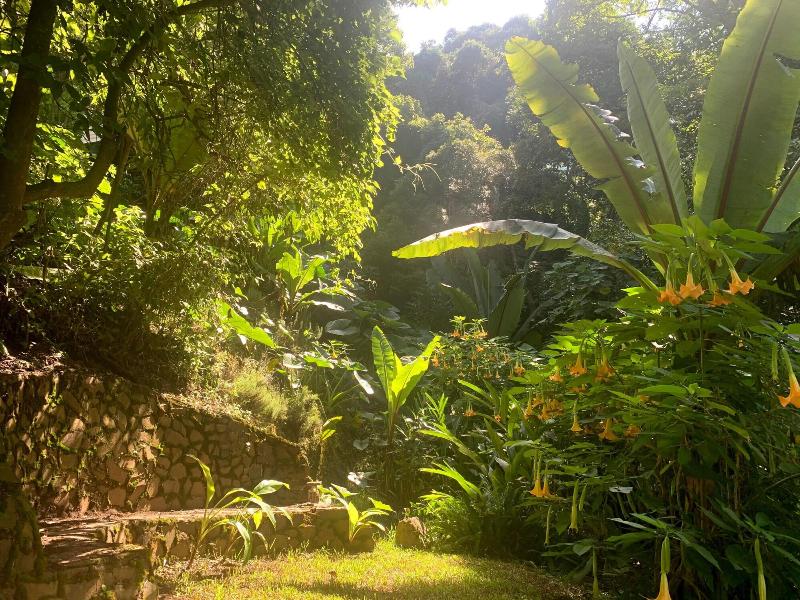Finca El Tambor