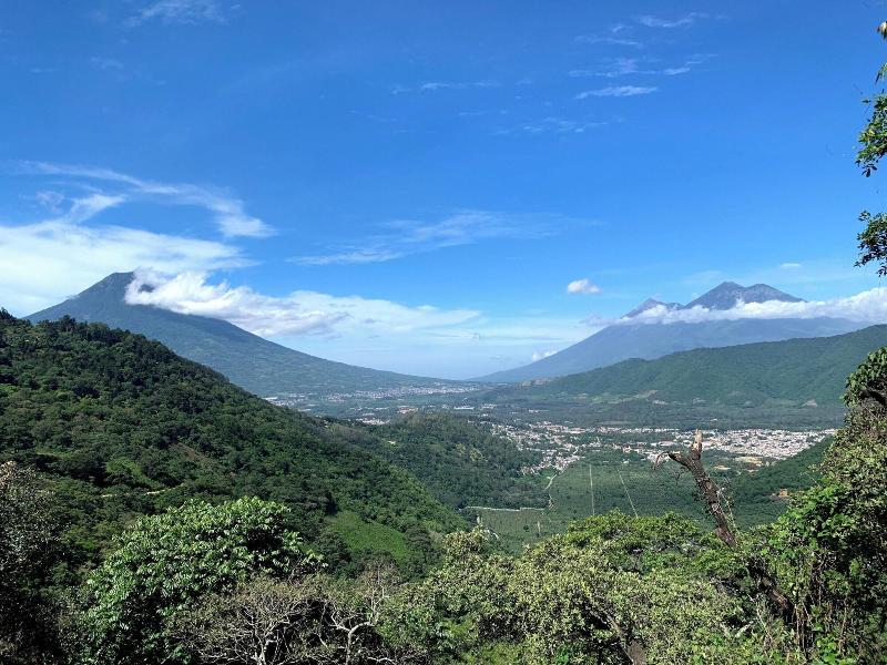 Finca El Tambor