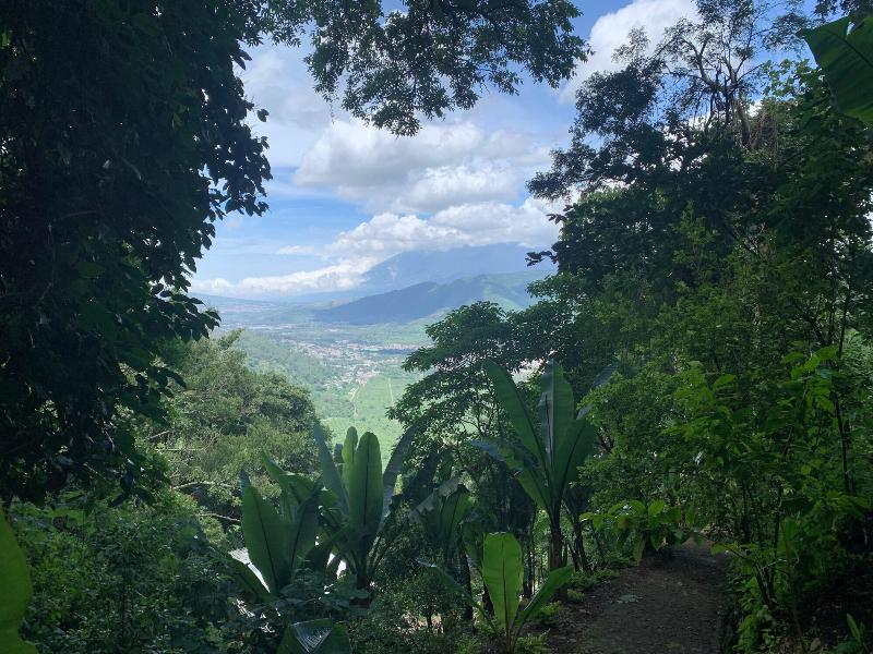 Finca El Tambor