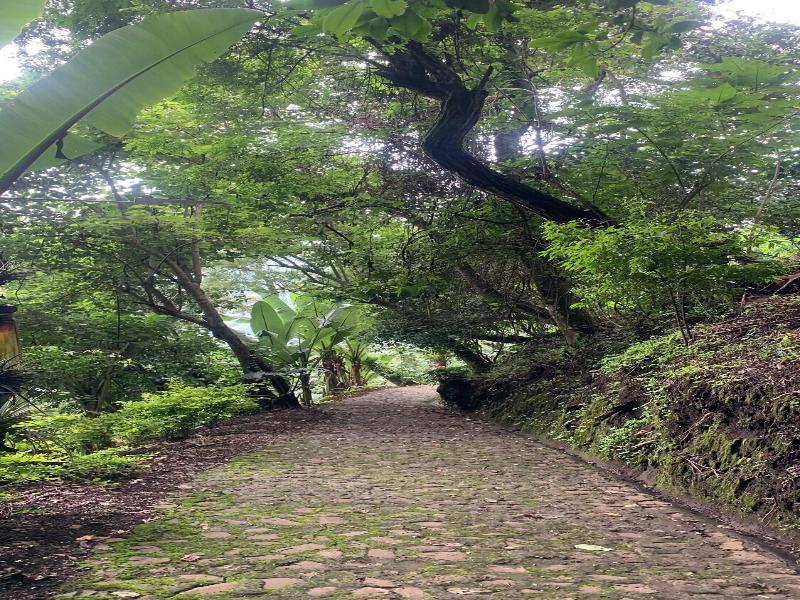 Finca El Tambor