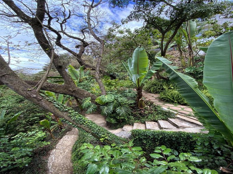 Finca El Tambor