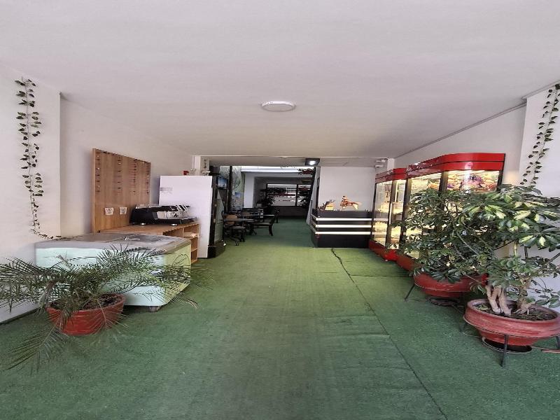 Andino Boutique Hotel image