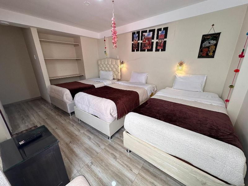 Andino Boutique Hotel image