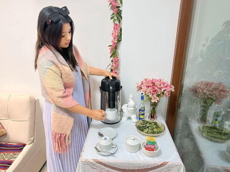 Andino Boutique Hotel image