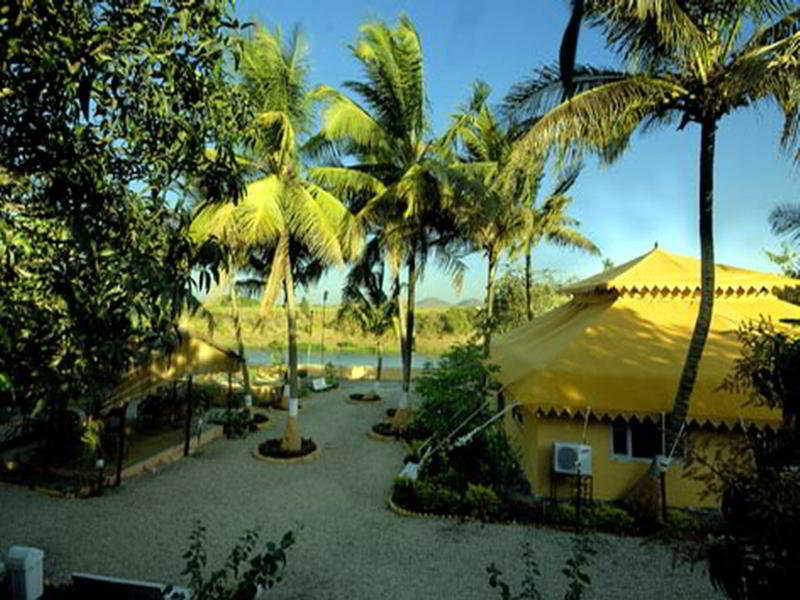 Lion Safari Camp