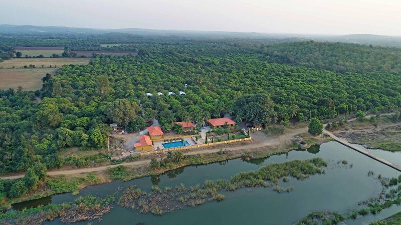 Lion Safari Camp