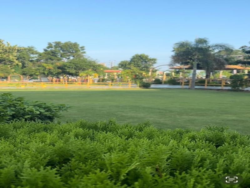 The Buddha Resort
