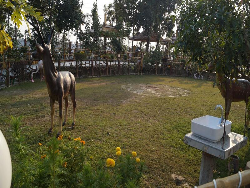 The Buddha Resort