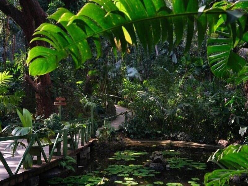 Island Accommodation Nadi image
