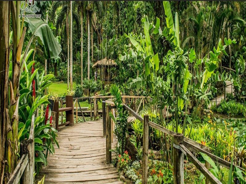 Island Accommodation Nadi image