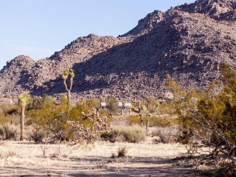 @ Marbella Lane - 10 Acres Oasis Desert Retreat!