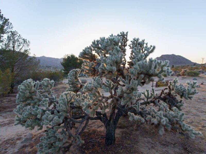 @ Marbella Lane - 10 Acres Oasis Desert Retreat! image