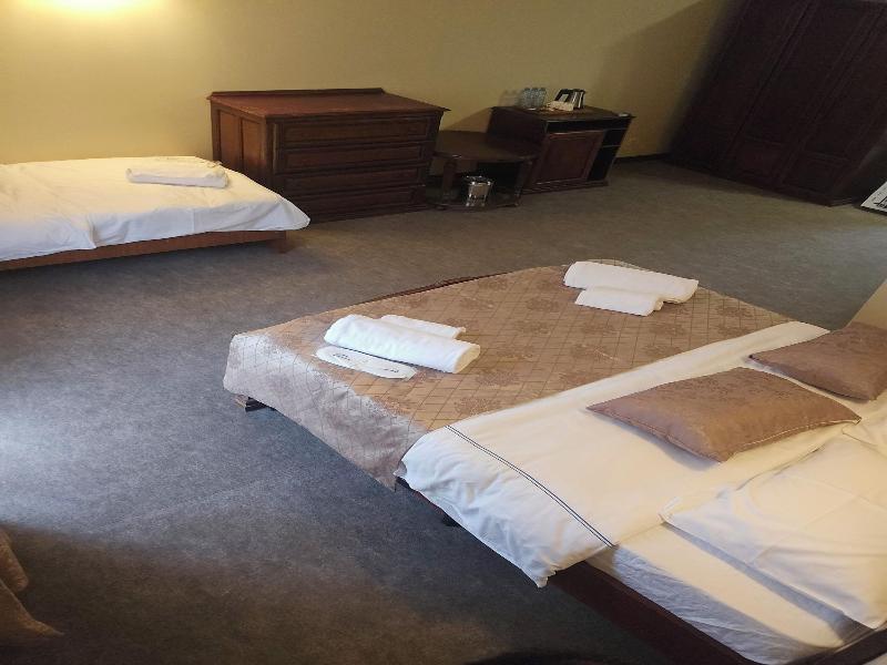 Ritsa Hotel image