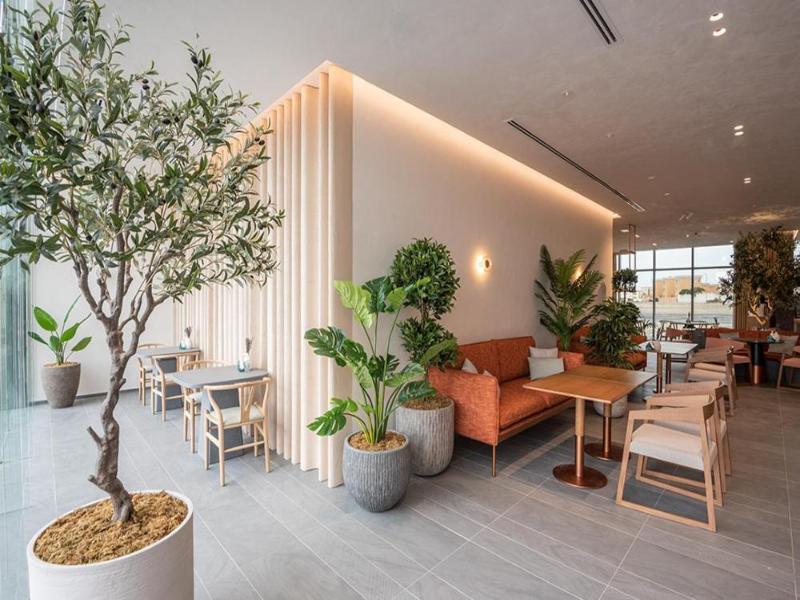 Saray Deluxe Hotel Apartments image