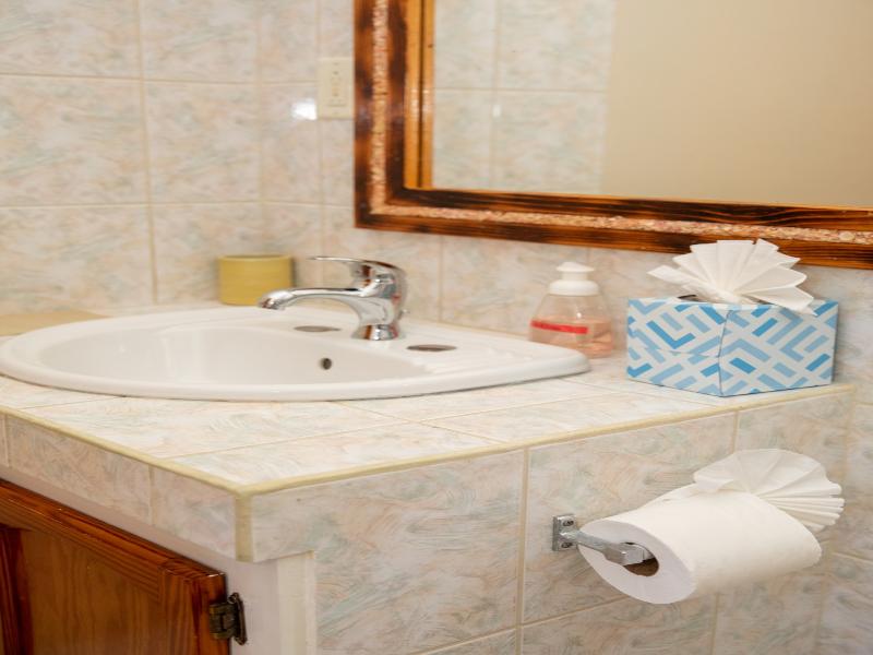 Neem View Apartments image