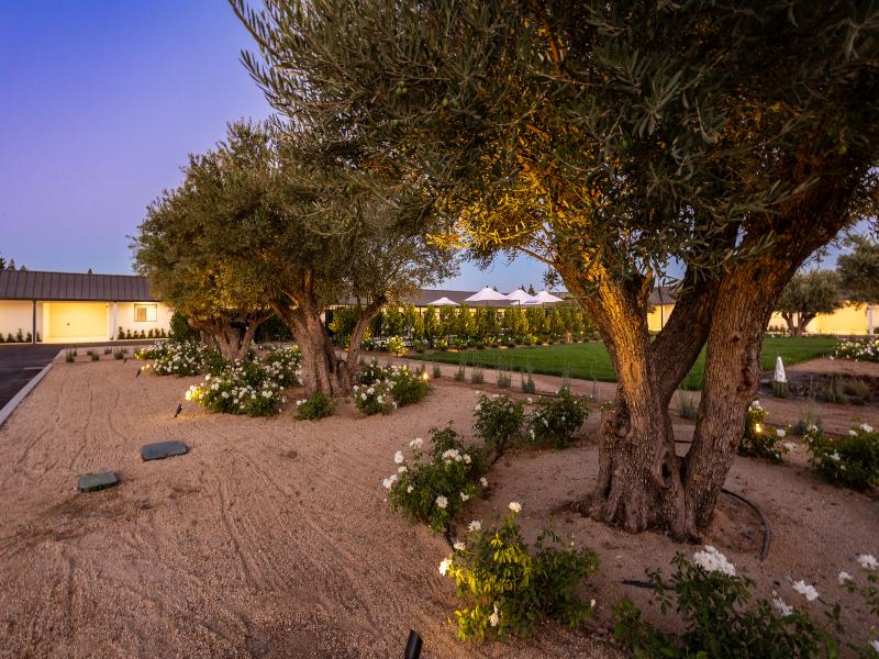 Hotel Bayit — general view