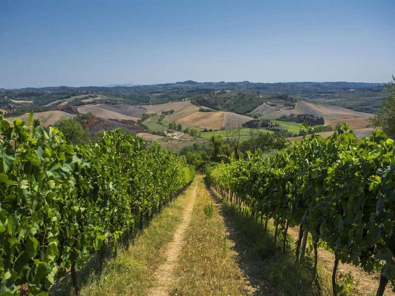Hideaway Near San Gimignano image