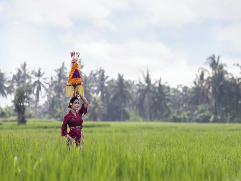 The Kalyana Ubud Resort image