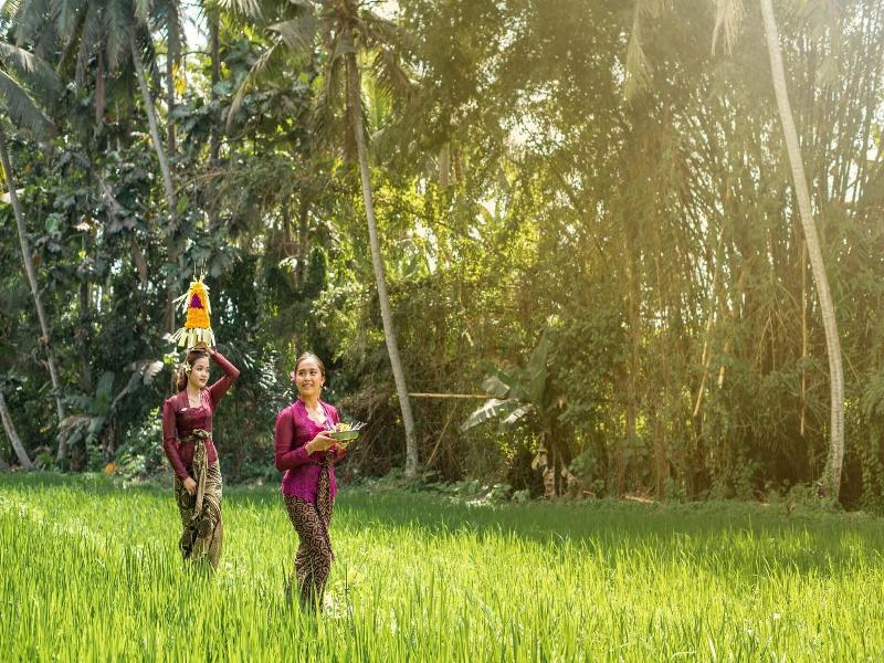 The Kalyana Ubud Resort image