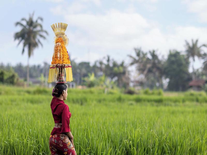 The Kalyana Ubud Resort image