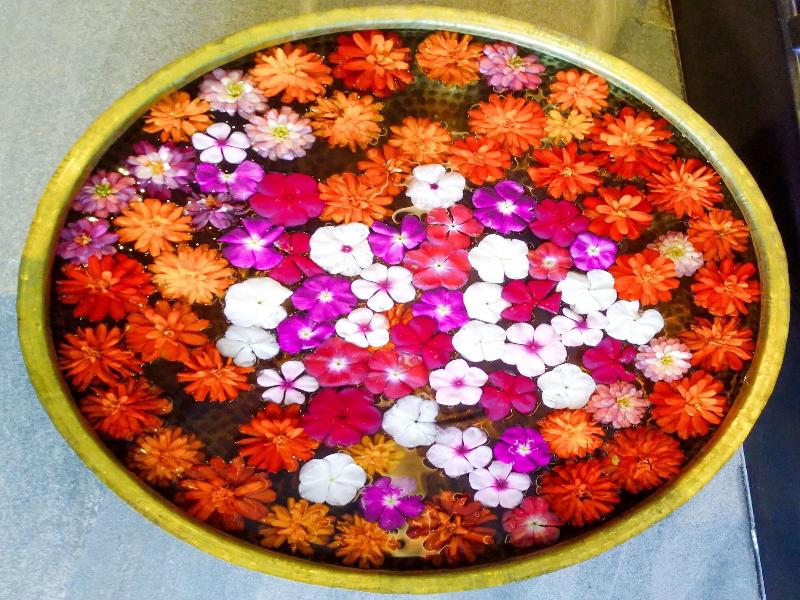 Welcomhotel By Itc Hotels Katra image