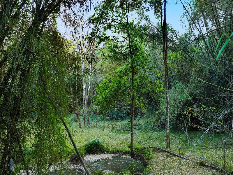 Keys Prima By Lemon Tree Hotels Thekkady