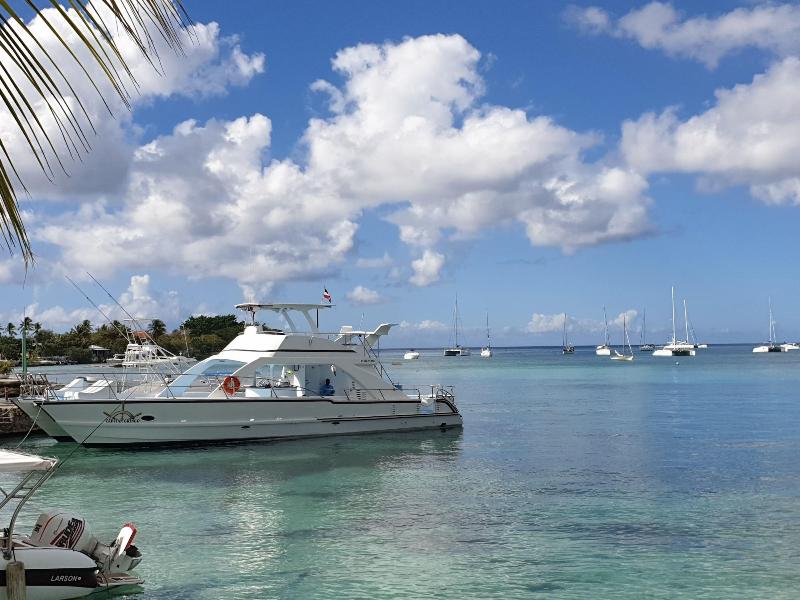 Playa Blanca Bed Breakfast image
