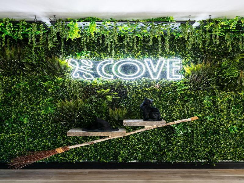 The Cove At Salem image