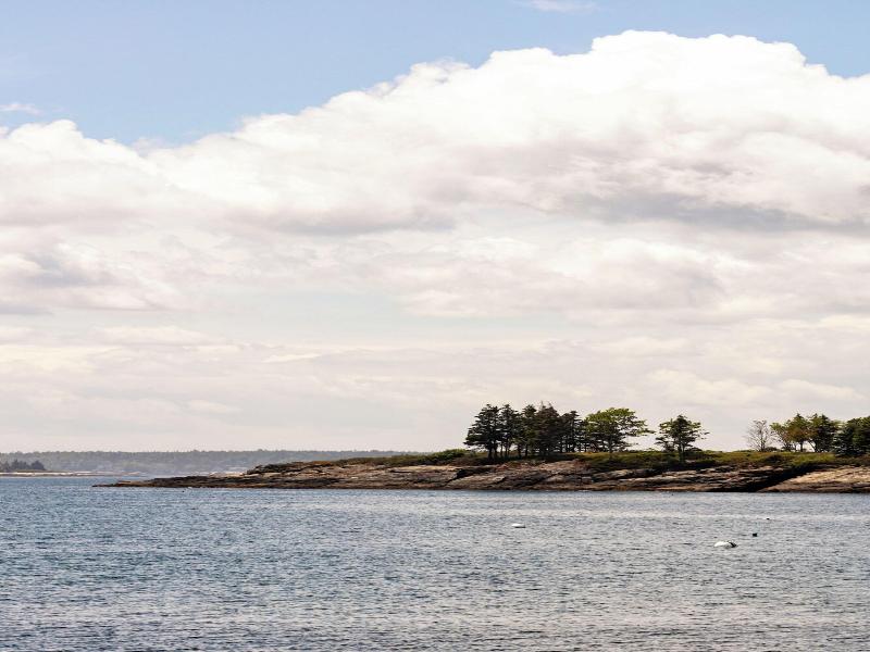 Bluebird Ocean Point Inn image