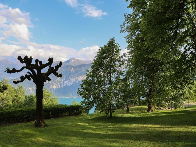 Beatenberg Resort & Spa image