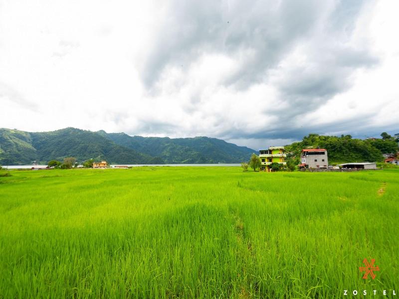 Zostel Pokhara image