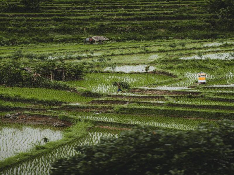 Camaya Bali image