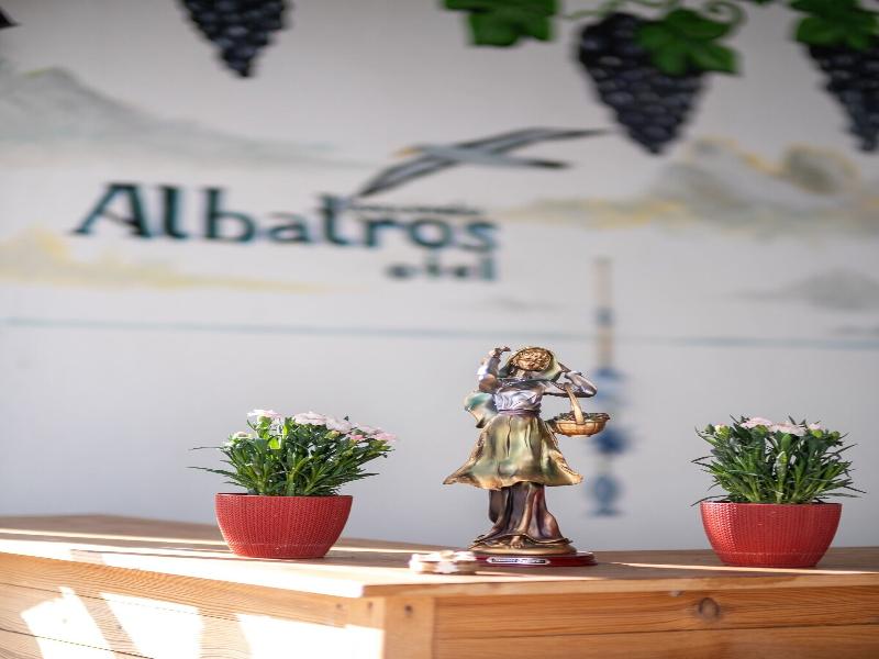 Bozcaada Albatros Otel image