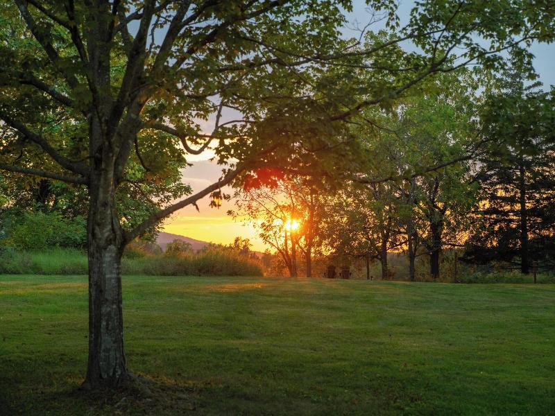 Cromwell Manor Inn image