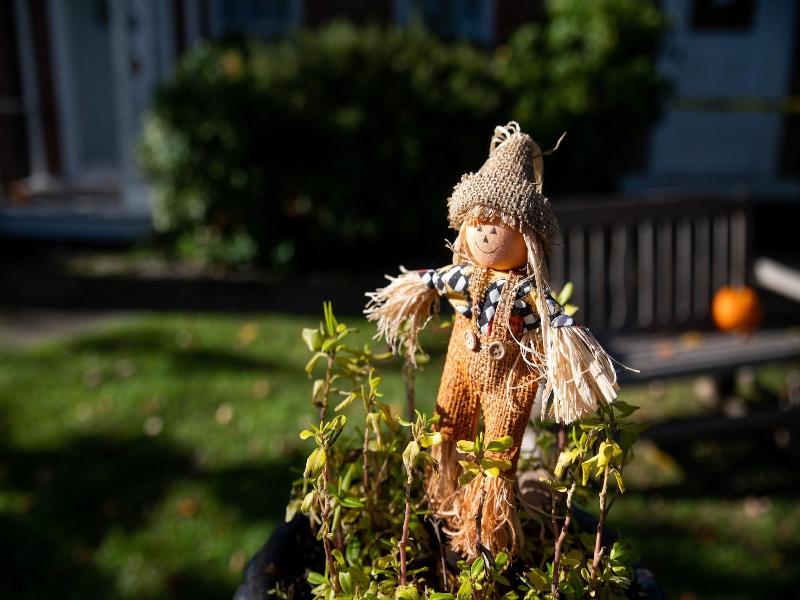 Cromwell Manor Inn image