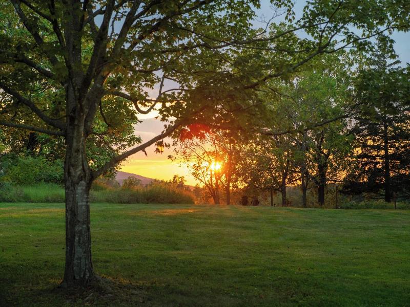 Cromwell Manor Inn image