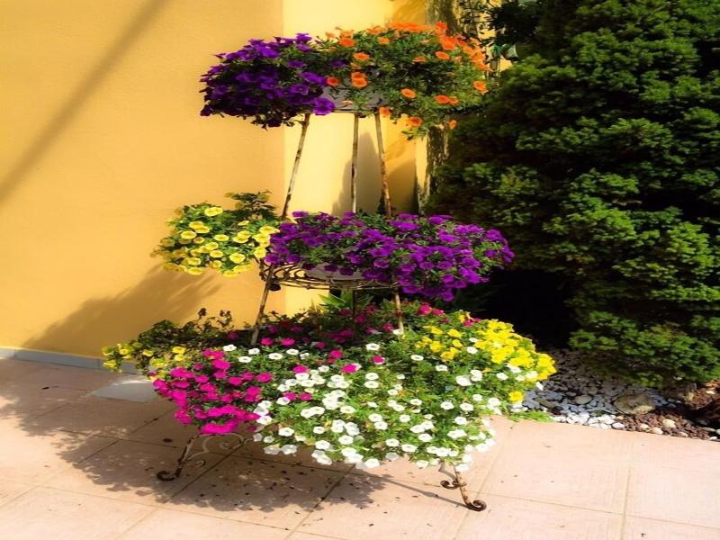 Le Pinette Bed And Breakfast image