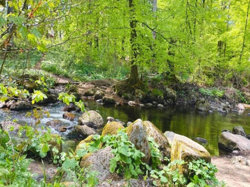 Luxurioser Wellnessaufenthalt In Elend image