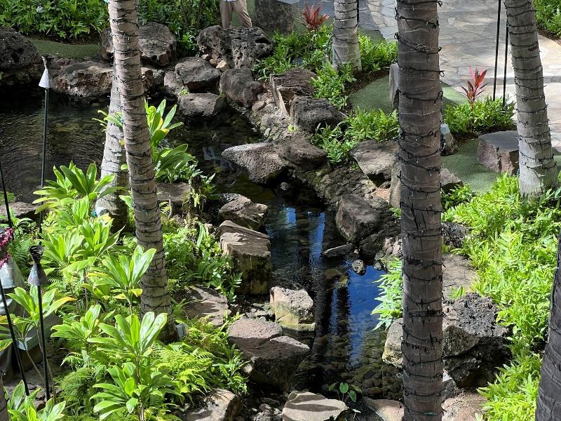 First Cabin International Hawaii image
