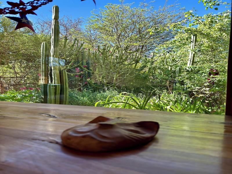Hostal Qachisolcor image