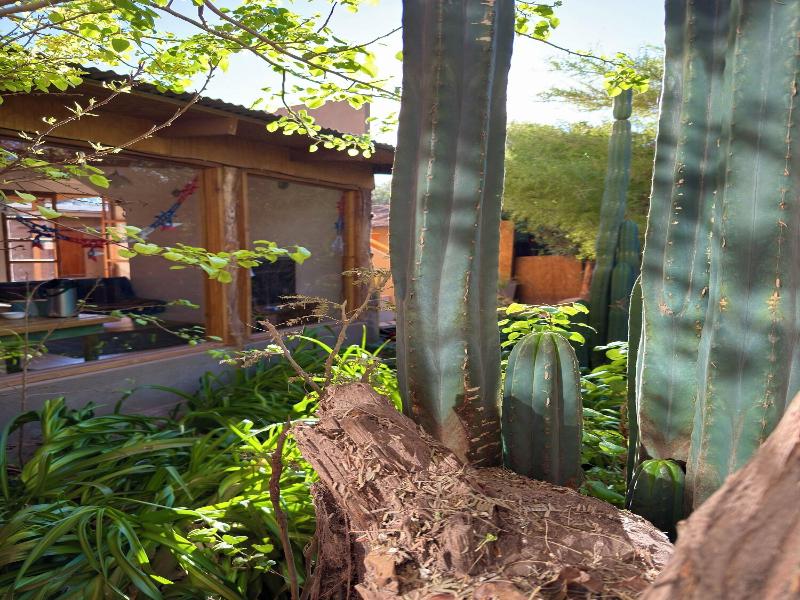 Hostal Qachisolcor image