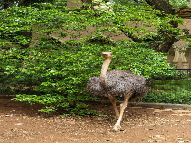 Aayush Resort Karjat image