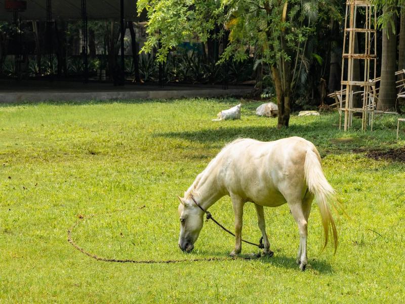 Aayush Resort Karjat image