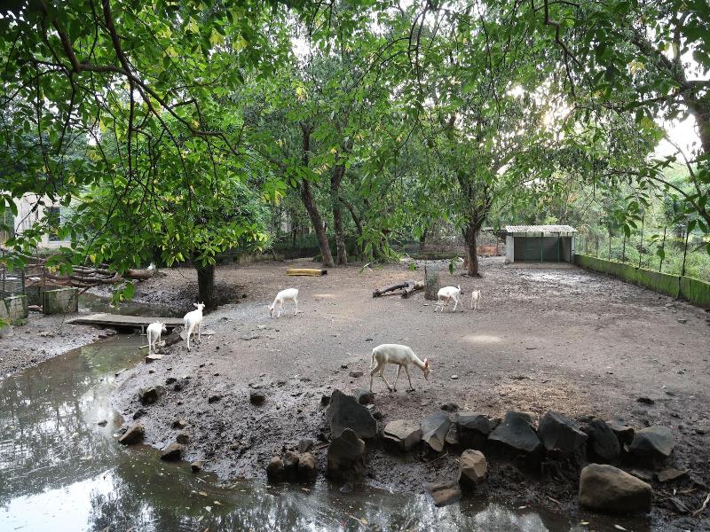 Aayush Resort Karjat image