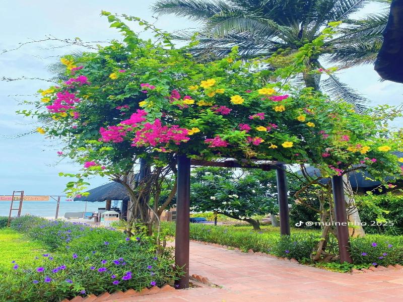 Little Mui Ne Cottages image